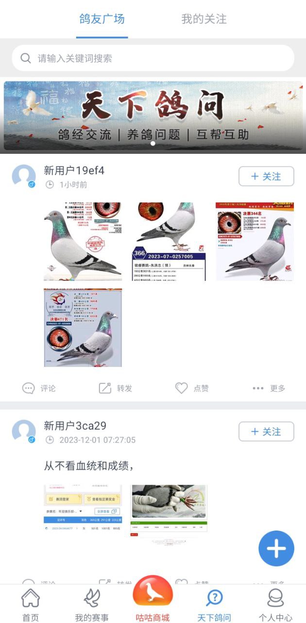咕咕信鸽