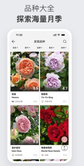 月季之家