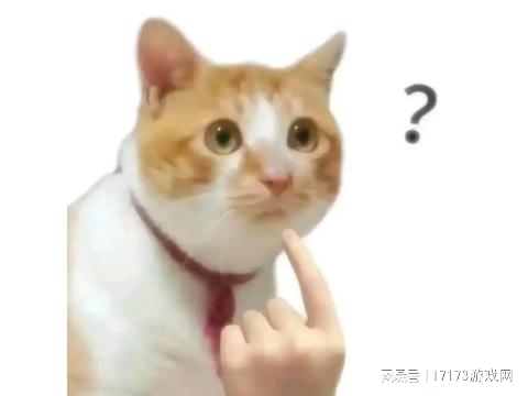 热闹！金融大亨cel带领团队取得魔兽团本世界首杀