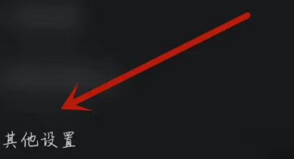 其他设置