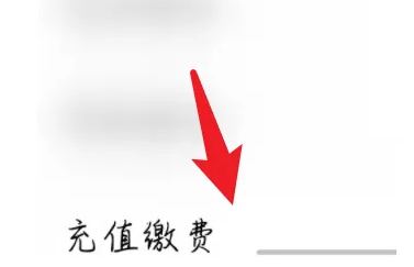 开启充值缴费