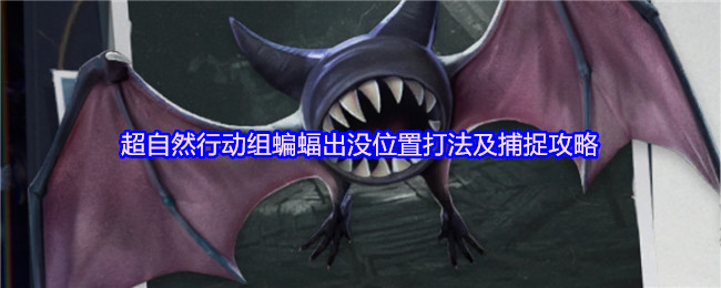 《超自然行动组》超自然行动组蝙蝠出现地点与捕捉方法详解