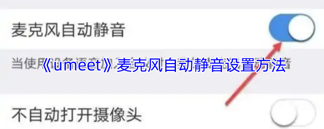 《boom视频会议》自动静音麦克风的设置指南
