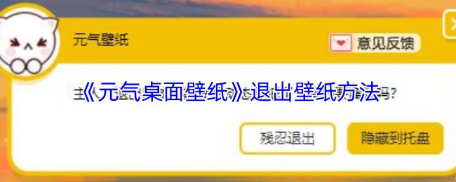 《元气桌面壁纸》退出壁纸的技巧与方法