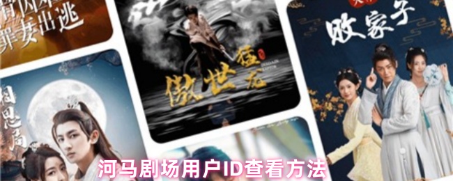 《麦德龙中国》河马剧场用户查询技巧指南