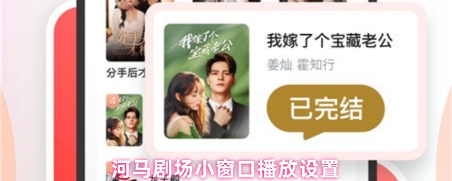 《河马剧场》小窗口播放设置指南：河马剧场的最佳体验