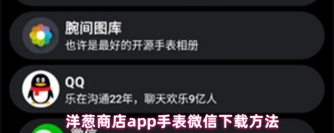 《洋葱商店》洋葱商店pp手表微信下载安装指南