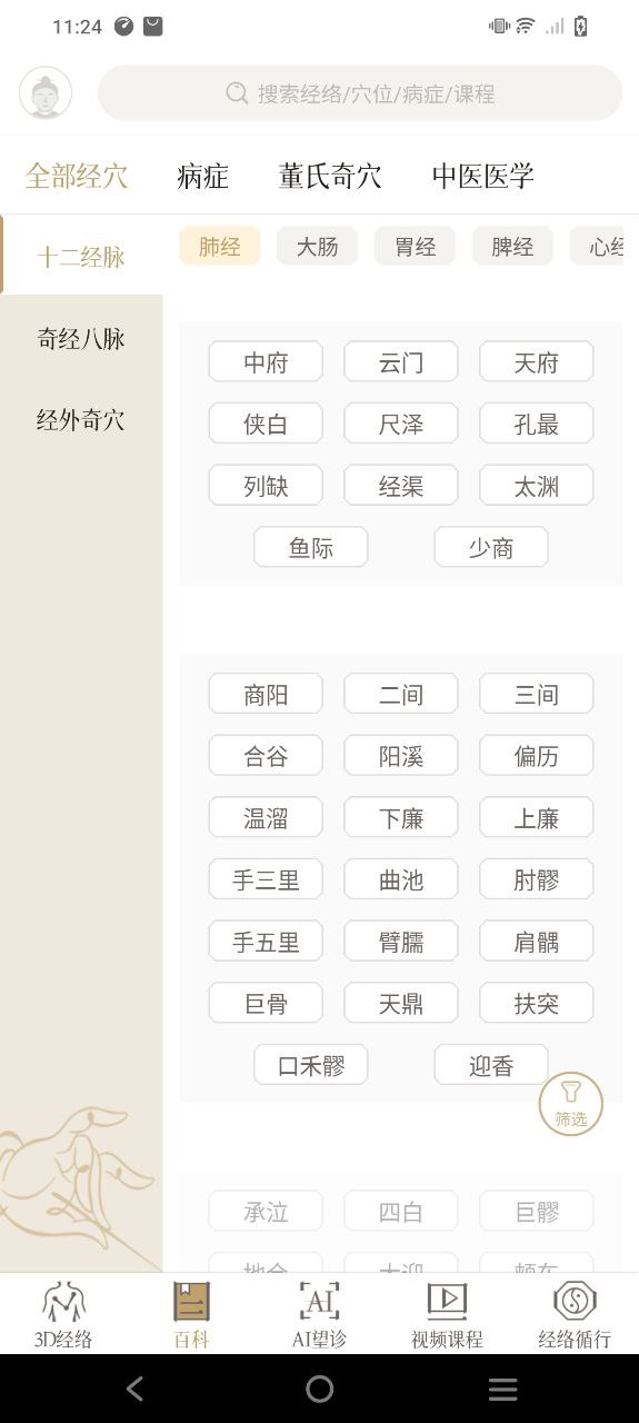 中济经络穴位软件app