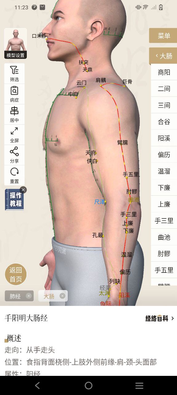 中济经络穴位软件app