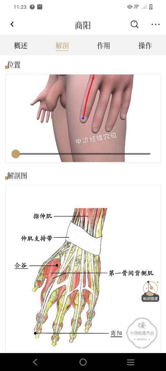 中济经络穴位软件app