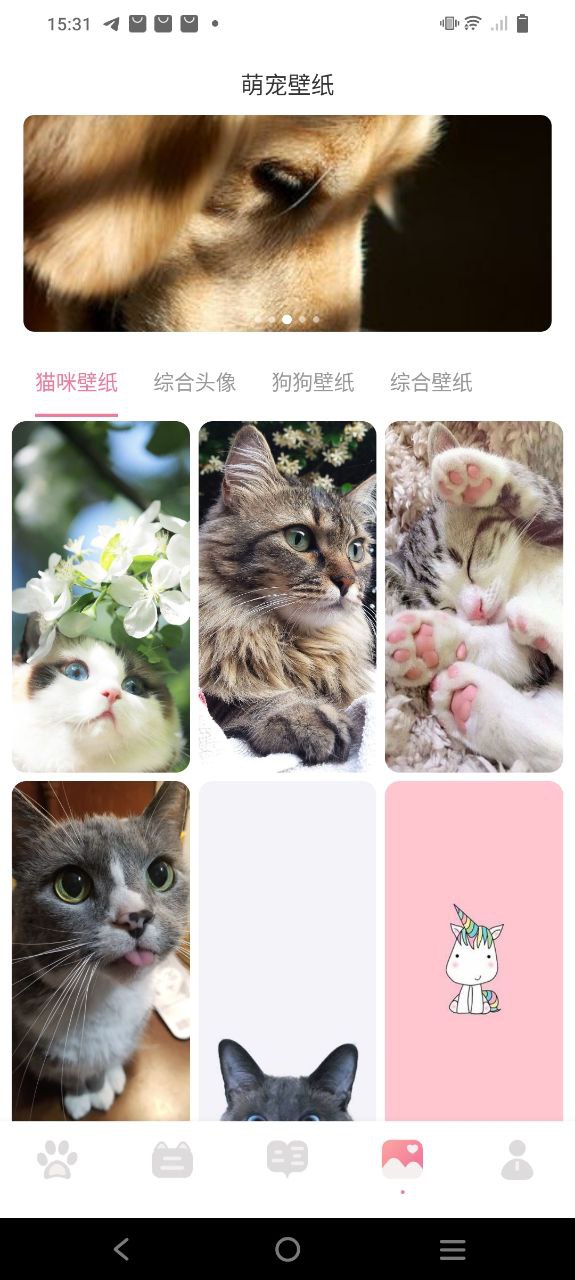 宠物对话器2025