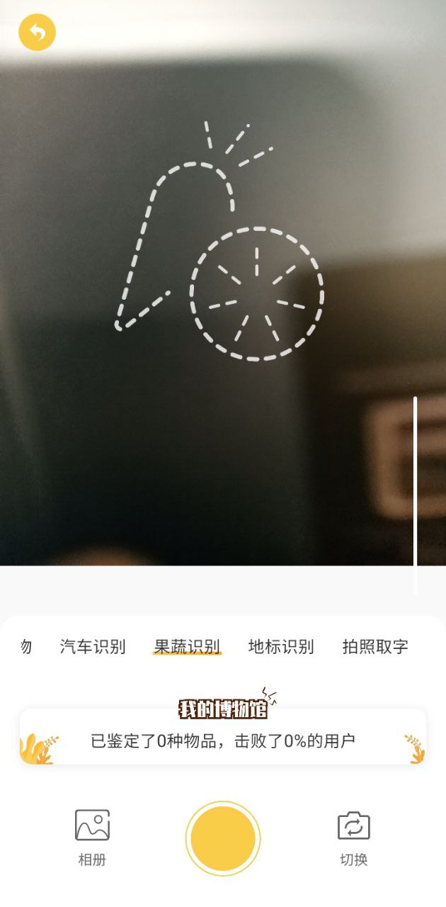 拍照识别应用