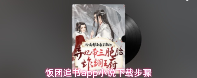 《饭团追书》饭团追书PP小说快速下载指南