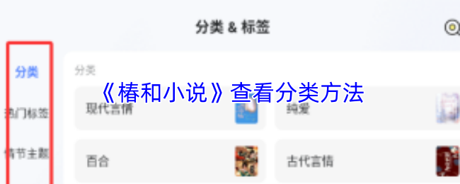 《椿和小说》探索分类技巧与方法