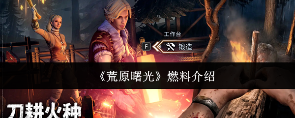 《荒原曙光》燃料详解与应用指南