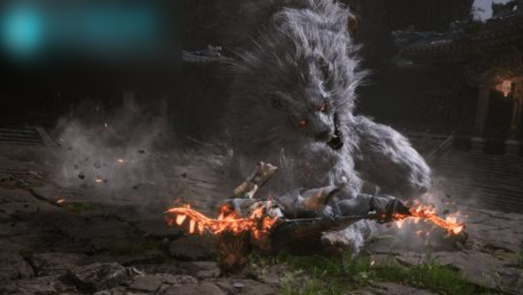 如何区分黑神话悟空标准版和豪华版？